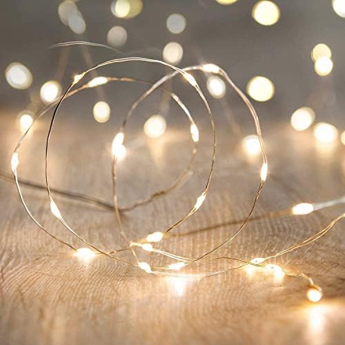 10Ft LED Fairy String Lights, 30 LEDs Warm White Firefly Lights, Battery Operated for Home, Party, Wedding, and Festival Decor