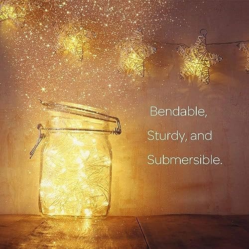 10Ft LED Fairy String Lights, 30 LEDs Warm White Firefly Lights, Battery Operated for Home, Party, Wedding, and Festival Decor