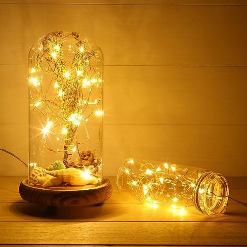 10Ft LED Fairy String Lights, 30 LEDs Warm White Firefly Lights, Battery Operated for Home, Party, Wedding, and Festival Decor