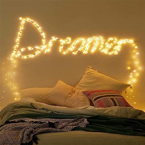 10Ft LED Fairy String Lights, 30 LEDs Warm White Firefly Lights, Battery Operated for Home, Party, Wedding, and Festival Decor